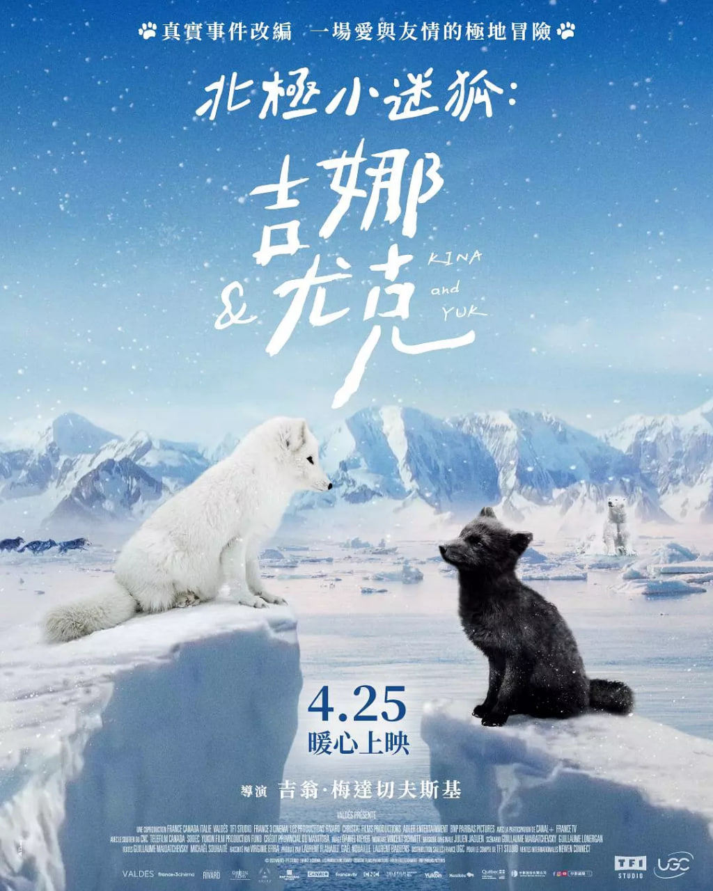 北极小迷狐吉娜，尤克